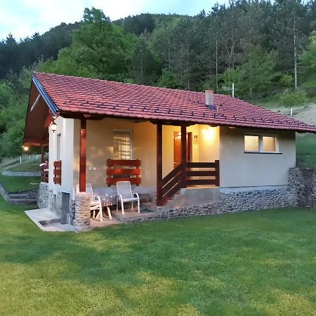 Villa Vikend Kuca Maksimovic à Mataruska Banja Extérieur photo
