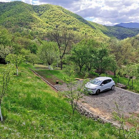 Villa Vikend Kuca Maksimovic à Mataruska Banja Extérieur photo