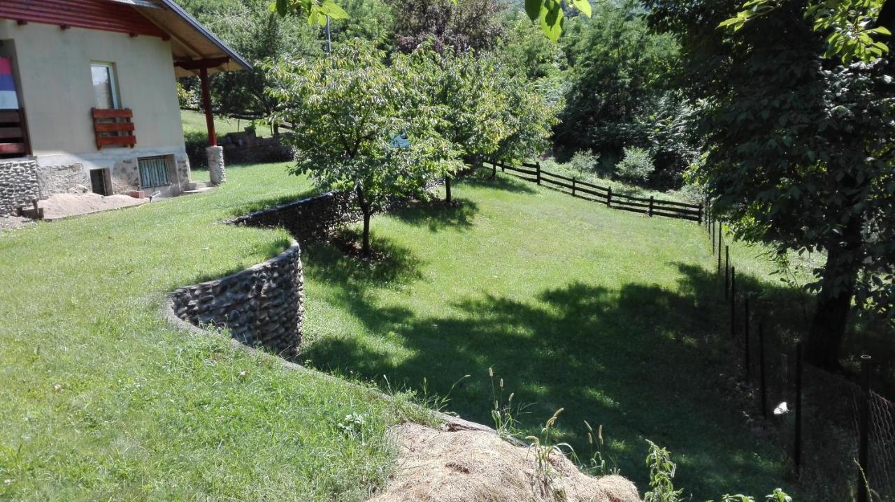 Villa Vikend Kuca Maksimovic à Mataruska Banja Extérieur photo