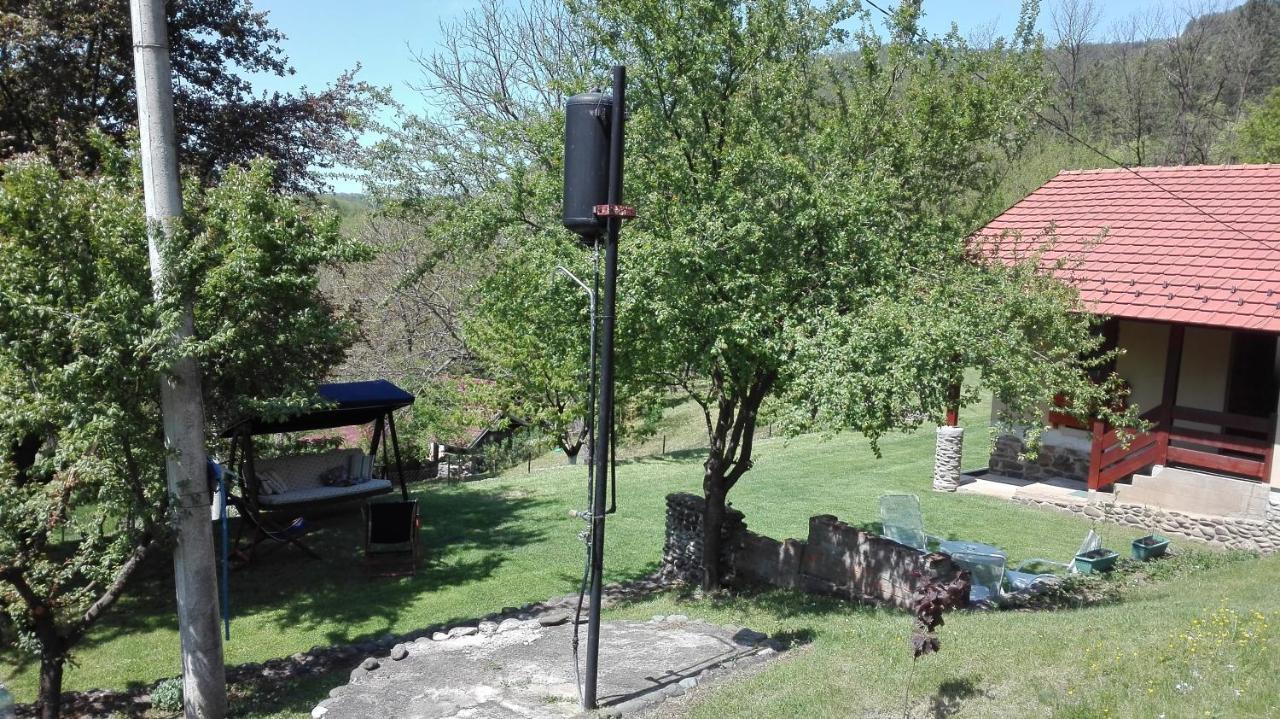 Villa Vikend Kuca Maksimovic à Mataruska Banja Extérieur photo