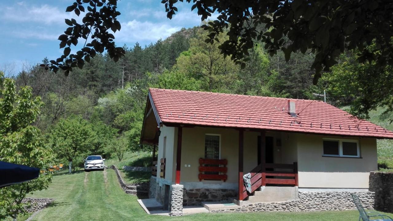Villa Vikend Kuca Maksimovic à Mataruska Banja Extérieur photo