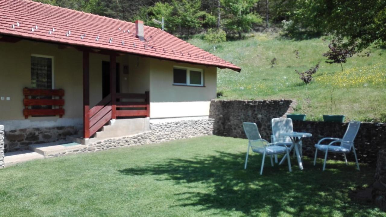 Villa Vikend Kuca Maksimovic à Mataruska Banja Extérieur photo